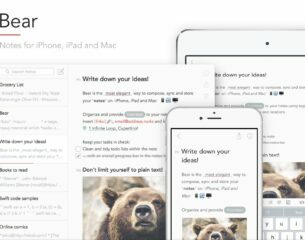 .bear