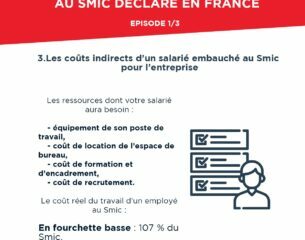 .cout-reel-du-travail-dun-employe-au-smic-declare-en-france_episode-3
