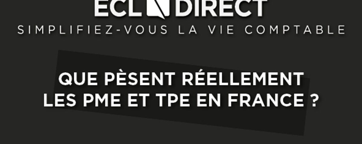 .que-pesent-reellement-les-pme-et-tpe