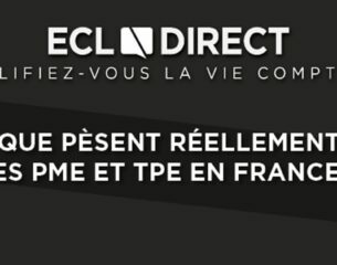 .que-pesent-reellement-les-pme-et-tpe